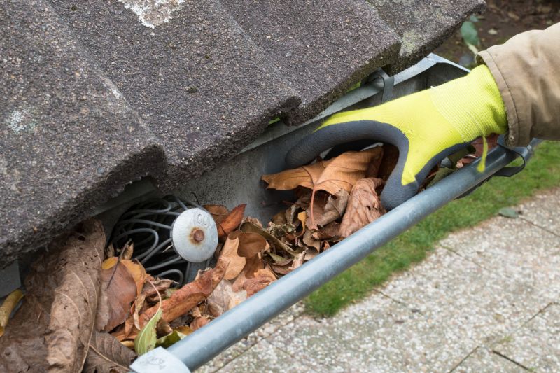 Clean Gutters with Covers